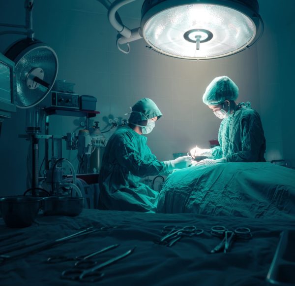 dreamstime_m_56872490-scaled-1